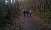 Trail Walking Chevreuse - Chevreuse sans le chateau de la MADELEINE - Photo 7