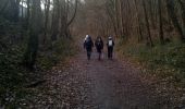 Tocht Stappen Chevreuse - Chevreuse sans le chateau de la MADELEINE - Photo 7