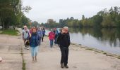 Tocht Stappen Auxerre - Auxerre - Photo 18