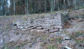 Randonnée A pied Heinrichsthaler Forst - Kulturweg Wiesen - Photo 5