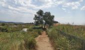 Tocht Stappen La Londe-les-Maures - les vieux salins - Photo 2