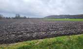 Tour Wandern Jemeppe-sur-Sambre - Spy 191224 - Photo 16