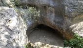 Randonnée Marche Joucas - Joucas - Les gorges de Véroncle - Photo 14