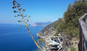 Tocht Stappen Vernazza - RA 2019 Cinque Terre Corniglia Vernazza - Photo 10