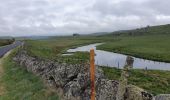 Tour Wandern Marchastel - [06] Compostelle : de Marchastel / Nasbinals à Saint-Chély-d'Aubrac - Photo 2