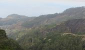 Percorso A piedi Arco da Calheta - Levada do Paul - Photo 5