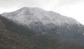 Tour Zu Fuß Bajardo - AM1 - Alpi Mare 1 - Photo 2