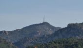 Trail Walking Saint-Raphaël - saint Raphaël mamelons de l esterel - Photo 18