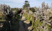 Trail Walking Riomaggiore - RA 2019 Cinque Terre Riomaggiore Porto Venere - Photo 1