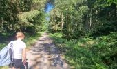 Trail Walking Spa - GrWandArdRiv 12: Spa de Barisart en Geronstère bronnen (PVDB) - Photo 9