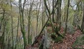 Trail Walking Bouillon - Boucle Corbion - Poupehan - Rochehaut - Crêtes de Frahan - Corbion - Photo 1