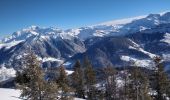 Randonnée Ski de randonnée Beaufort - la Crasse - les Maisonettes - Roche Plane - Photo 1