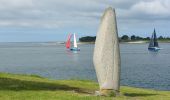 Tocht Stappen Arzon - PR_56_Arzon_AA_01_Pointes-Du-Golfe_Circuit1b_20230501 - Photo 6