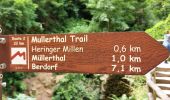 Trail On foot Waldbillig - W6 Hiking Tour - Photo 9