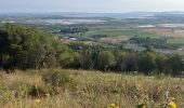 Excursión Ruta Agde - Mont St-Loup et Mt St-Martin(13K 220D+) - Photo 4