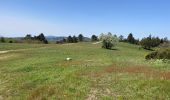 Tour Wandern Rieussec - Le Roc des contentes - Photo 2