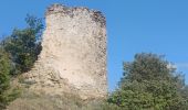 Trail Walking Château-Arnoux-Saint-Auban - CHATEAU NVSD . LE TOUR DES AMARINES N - Photo 11