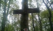 Trail Walking Bouillon - Frahan Montragut - Photo 4