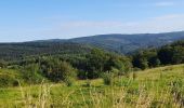 Tocht Stappen La Roche-en-Ardenne - Marche ADEPS 11km100 à  Buisson. - Photo 11