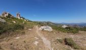 Trail Walking Moca-Croce - Monte San Petru - Photo 3