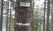 Percorso Marcia Mittlach - schnepfenried tour par platzervasen - Photo 17