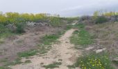 Excursión Senderismo Unknown - Site archéologique de Salamine - Photo 2