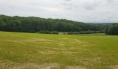 Tocht Mountainbike Saint-Clément - sortie vtt du 07062020 Embermenil - Photo 4