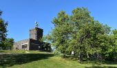 Excursión A pie Somlóvásárhely - ST Somló, Kitaibel Pál tanösvény - Photo 3