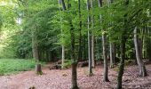 Trail Walking Seraing - bois de la vequée par les petits chemins (version courte) - Photo 1