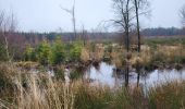 Trail Walking Houffalize - Pisserotte 151224 - Photo 15