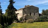 Trail Walking Fontaine-de-Vaucluse - Fontaine de Vaucluse - Photo 2