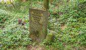 Trail On foot Paderborn - Naturerbe-Pfad (Naturerbe Wanderwelt Altenbeken) - Photo 8
