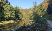Tocht Stappen Florenville - rando les epioux 15/09/2020 - Photo 3