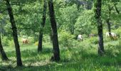 Tour Wandern Montauroux - z le bas défens à Montauroux 23-05-23 - Photo 1