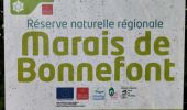 Percorso Marcia Mayrinhac-Lentour - Le marais de Bonnefond  - Photo 1