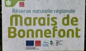 Trail Walking Mayrinhac-Lentour - Le marais de Bonnefond  - Photo 1