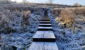 Tocht Stappen Borgloon - Promenade vers l'Aeneas Wilder  - Photo 6