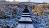 Tocht Stappen Borgloon - Promenade vers l'Aeneas Wilder  - Photo 6