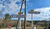 Percorso Marcia Lacoste - LACOSTE  , Vaucluse,  la forêt des cèdres o - Photo 12