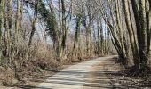 Excursión Senderismo Plombières - A la découverte de Hombourg et ses environs  - Photo 3