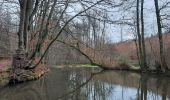 Trail On foot Limbourg - 20220117 Bio La Louveterie - Photo 9