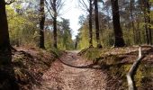 Trail Nordic walking Belœil - mielikki  - Photo 3