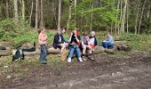 Excursión Senderismo Namur - MLD en famille  - Photo 2