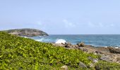Trail Walking Saint-François - Guadeloupe - Anse à la Baie à Porte d'Enfer - Photo 5