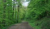 Tocht Te voet Aken - GrenzRouten: Route 5 - Aachener Wald - Photo 6