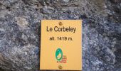 Trail Walking Saint-Cassin - La dent du Corbelet  - Photo 3