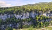 Percorso Marcia Villard-de-Lans - Villard de Lans - Balcons et falaises de la Bourne - panorama  - Photo 17