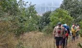 Tocht Stappen Comprégnac - Peyre (Millau) - Photo 1