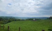 Trail Walking Bertrix - Auby sur Semois 070525 - Photo 2