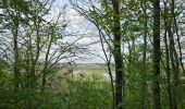 Trail Walking Chimay - A la découverte de Lompret 🥾 - Photo 9